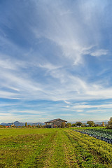 Image showing Country scene in autumn