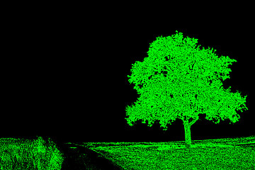 Image showing tree on a way 