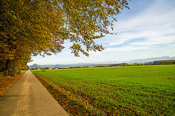 Image showing winter wheat with view to German highlands