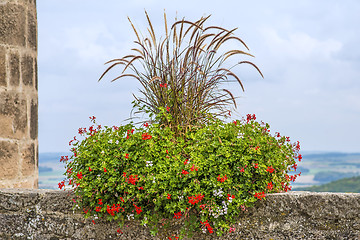 Image showing flower and grass decoration on historic city wall