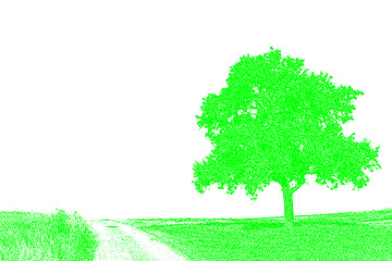 Image showing tree on a way 