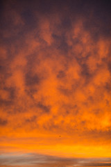 Image showing sky with red clouds during sunrise