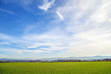 Image showing field of green manure 