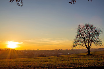 Image showing sunset with tree