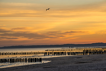 Image showing Sunrise over the Baltic Sea with groynes