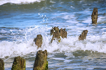 Image showing Baltic Sea with groynes and surf