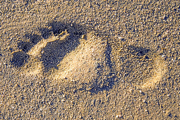 Image showing footprint on a beach