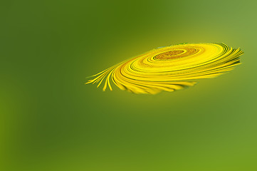 Image showing flying spiral
