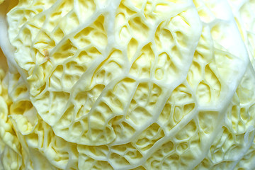 Image showing white kale, closeup of the vegetable