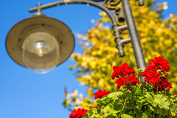 Image showing street lantern with red flowers
