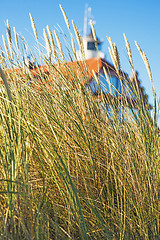 Image showing beach grass with old lighthouse