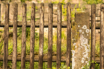 Image showing Fence with green background