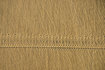 Image showing bicycle tracks in sand