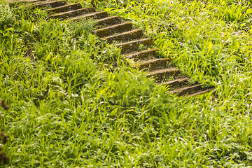 Image showing old stairs in the green