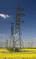 Image showing Electric pylons