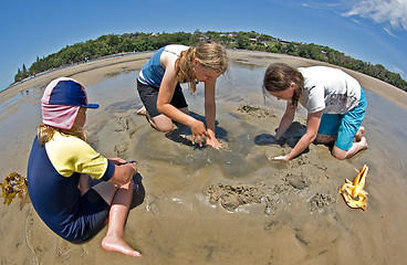 Image showing digging at the beach