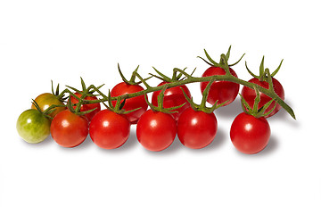 Image showing Branch of cherry tomatoes isolated on white