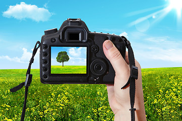 Image showing The  landscape and digital photographic camera