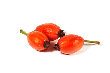 Image showing Rose hips on a white background