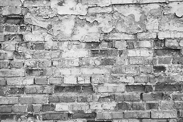 Image showing Brick wall