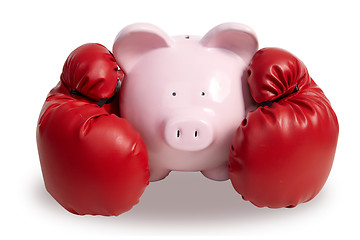 Image showing Pig and boxing-glove