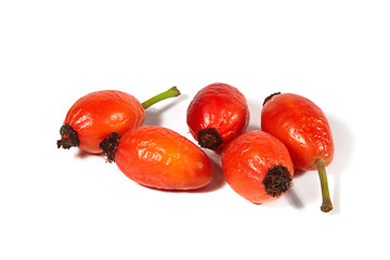 Image showing Rose hips on a white background