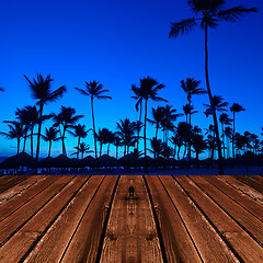 Image showing Palms on the beach