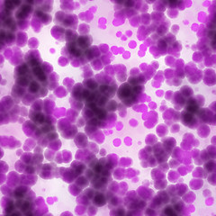 Image showing cells close up