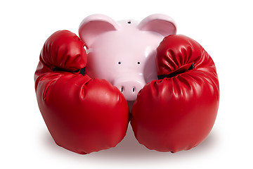 Image showing Pig and boxing-glove