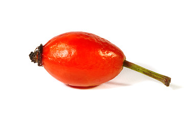 Image showing Rose hips on a white background