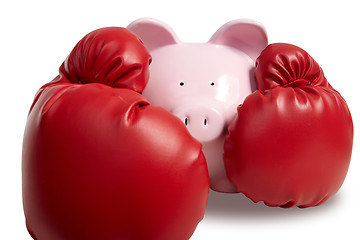 Image showing Pig and boxing-glove