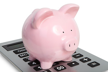 Image showing Pig and calculator