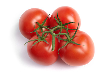 Image showing Tomato on white