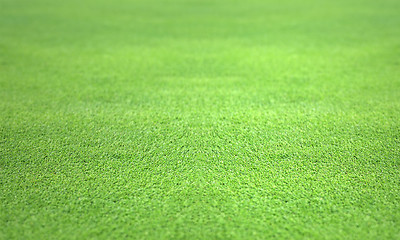 Image showing golf green