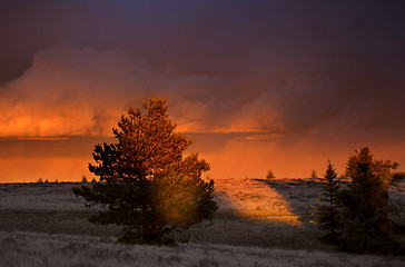 Image showing Cypress Hills Sunset