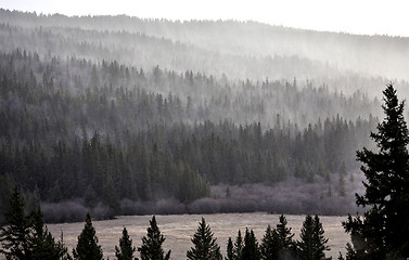 Image showing Cypress Hills Alberta Saskatchewan