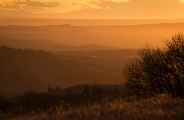 Image showing Cypress Hills Alberta Saskatchewan