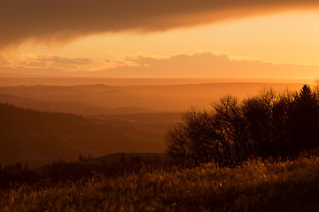 Image showing Cypress Hills Alberta Saskatchewan