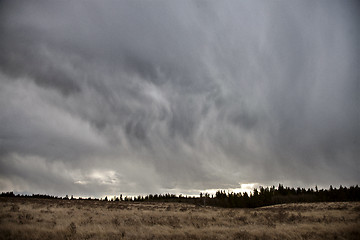 Image showing Cypress Hills Alberta Saskatchewan