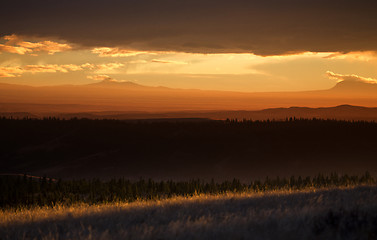 Image showing Cypress Hills Alberta Saskatchewan