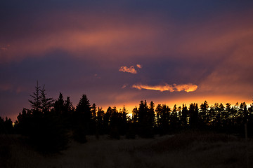 Image showing Cypress Hills Sunset