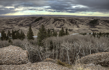 Image showing Cypress Hills Alberta Saskatchewan