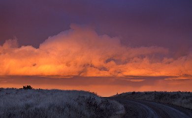 Image showing Cypress Hills Sunset