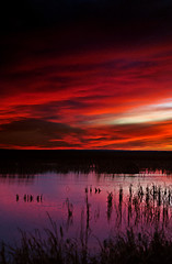 Image showing Sunset Rural Saskatchewan