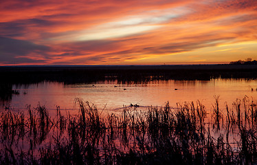 Image showing Sunset Rural Saskatchewan