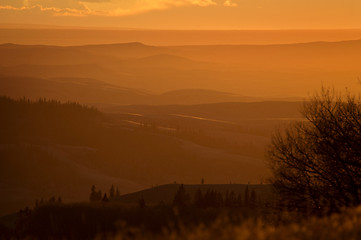 Image showing Cypress Hills Alberta Saskatchewan