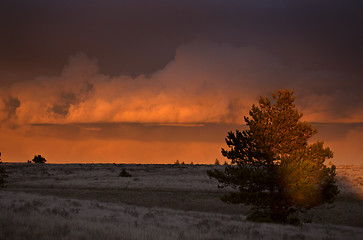 Image showing Cypress Hills Sunset