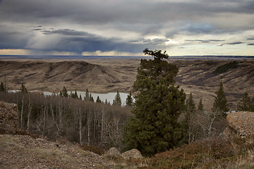 Image showing Cypress Hills Alberta Saskatchewan