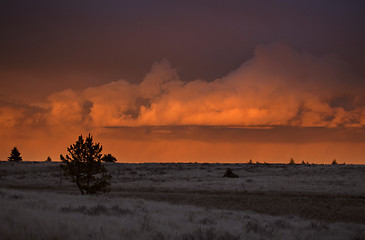 Image showing Cypress Hills Sunset