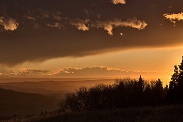 Image showing Cypress Hills Alberta Saskatchewan